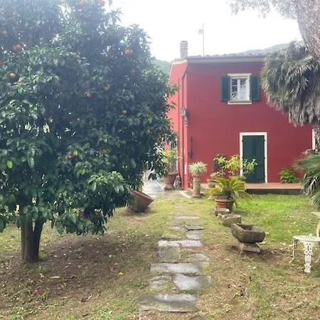 Il Piccolino Daire Avane
