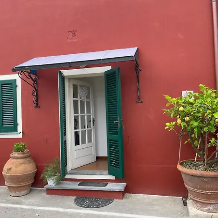 Il Piccolino Daire Avane