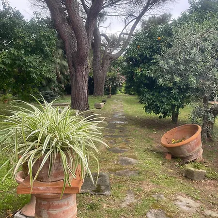 Il Piccolino Apartament